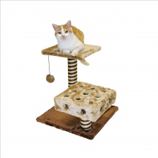 Katzenhaltung